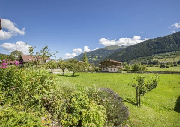 0025 BB Rendl zomer 8