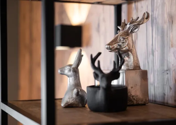 0005 Schoneben App Top 2 12