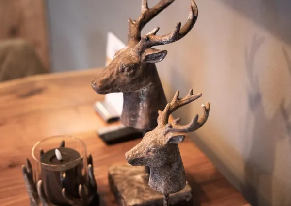 0006 Schoneben App Top 4 15