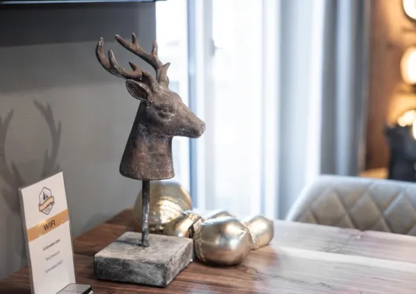 0007 Schoneben App Top 5 11