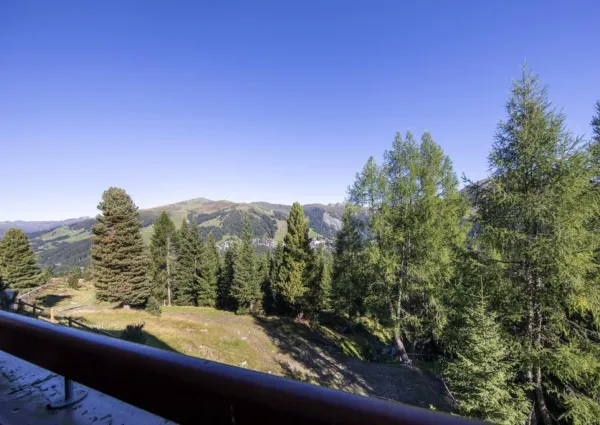 0017 HKR Sonnenblick zomer 5