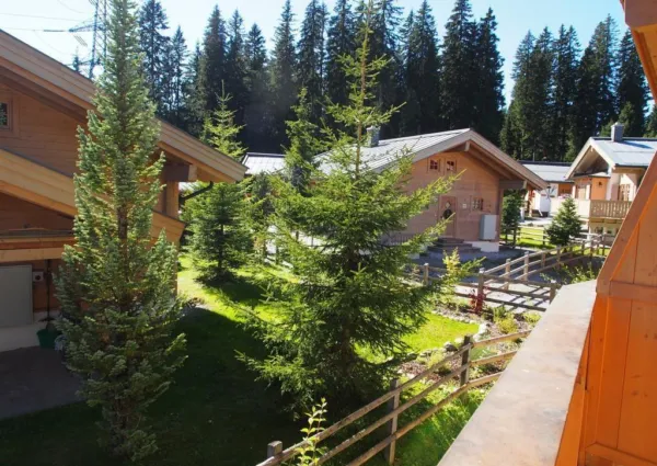 0024 KL Vriens zomer 5