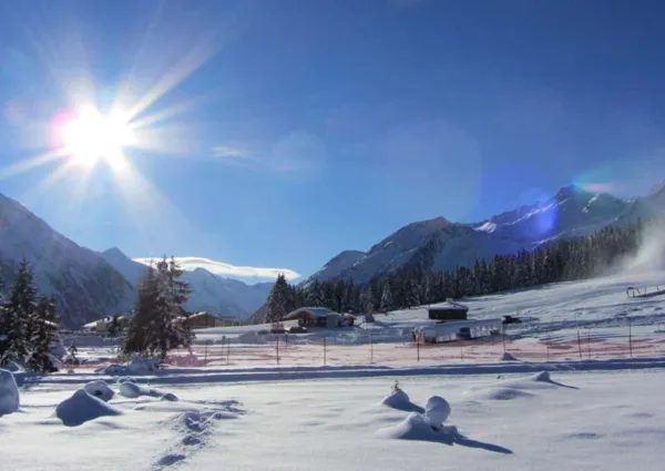 0031 HK Wildkarblick 5 winter 11