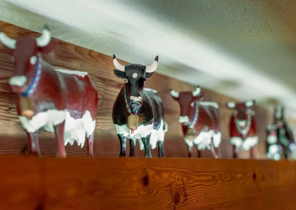 0022 HKR Wildkarblick 21