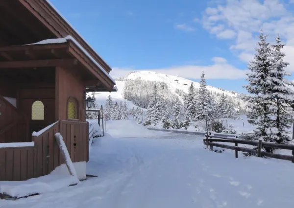 0029 HK Wildkarblick winter 1