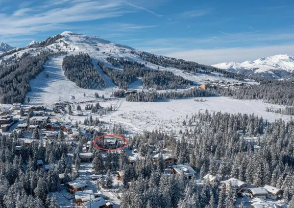 0031 HK Wildkarblick winter 6