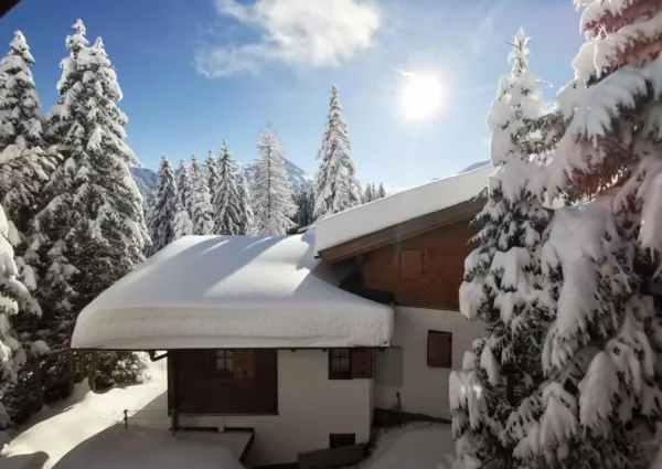 0021 HK Wildkarblick 5 winter 9