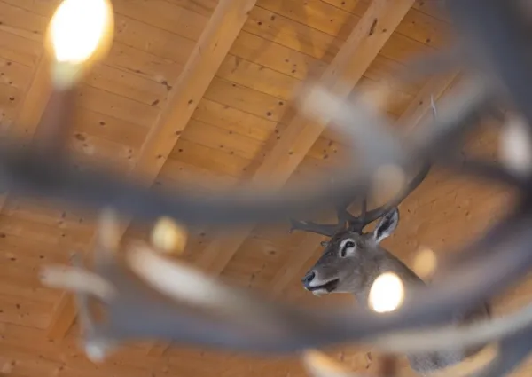 0014 KL Mooshutte 18