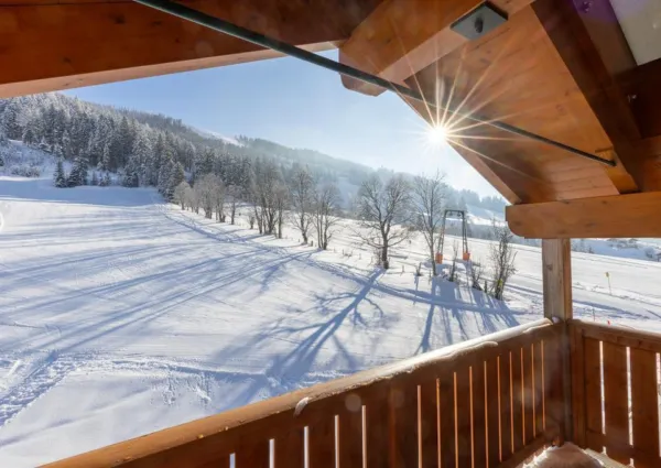 0029 DN Top 13 Winter 2024 1