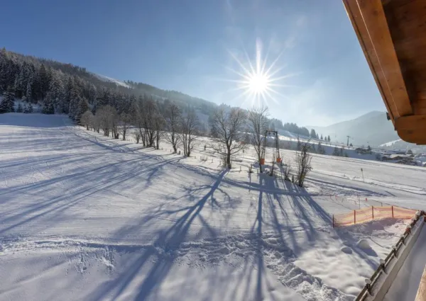 0030 DN Top 13 Winter 2024 2