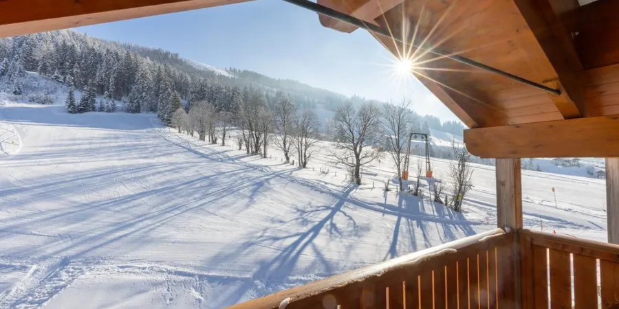 0029 DN Top 13 Winter 2024 1