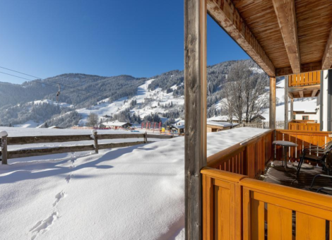 0033 DN Top 2 Winter 2024 1