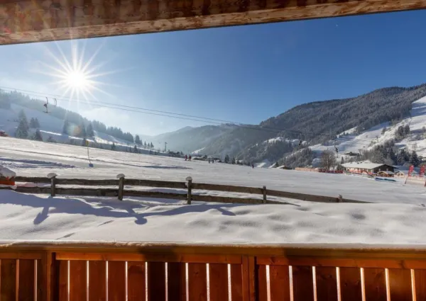 0035 DN Top 2 Winter 2024 3