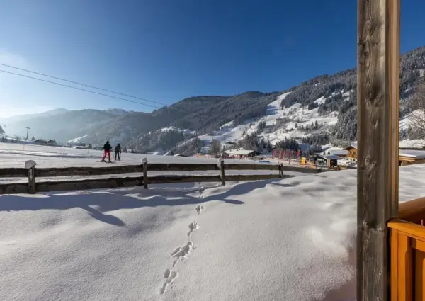 0034 DN Top 2 Winter 2024 2