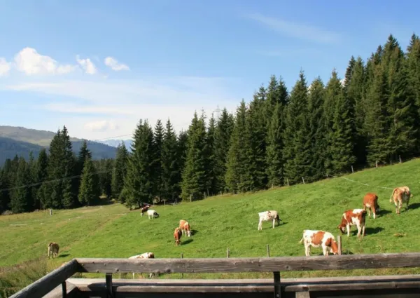 0022 KL Marchenblick 1 zomer 6