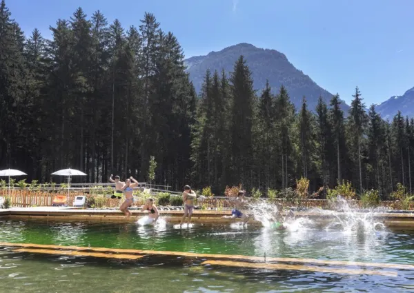 0038 NK NPC Schwimmteich 93