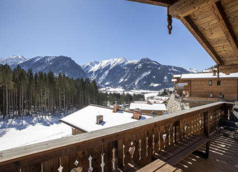 0029 NK Blessachkopf winter nieuw 3