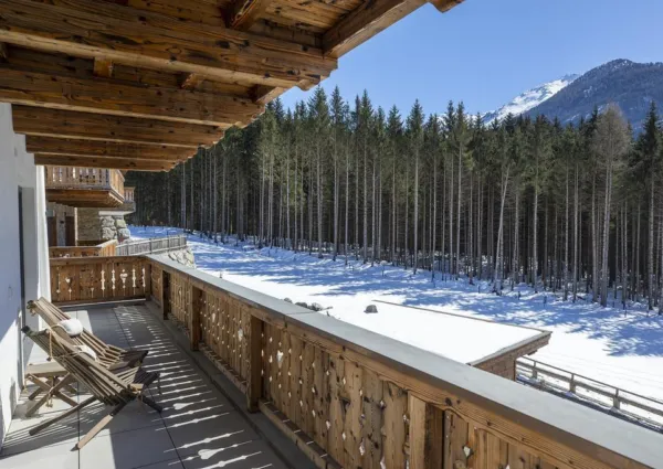 0031 NK Blessachkopf winter nieuw 6