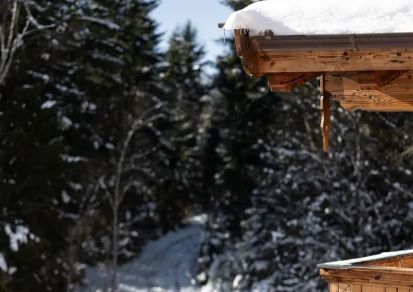 0037 NPC Blindis winter nieuw 11