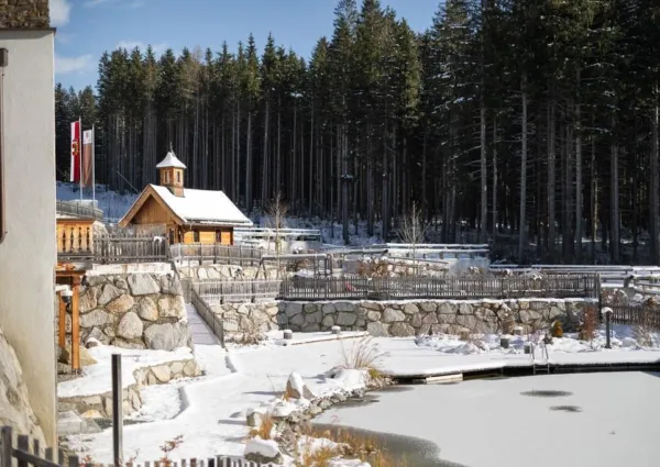 0038 NPC Blindis winter nieuw 6