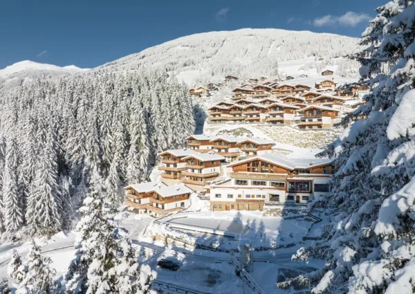 0039 NPC Blindis winter nieuw 2