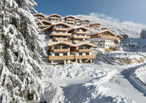 0040 NPC Blindis winter nieuw 3