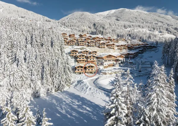 0041 NPC Blindis winter nieuw 4