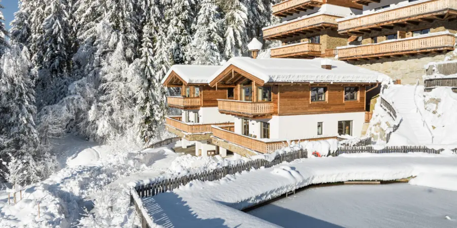 NPC Blindis winter nieuw 1