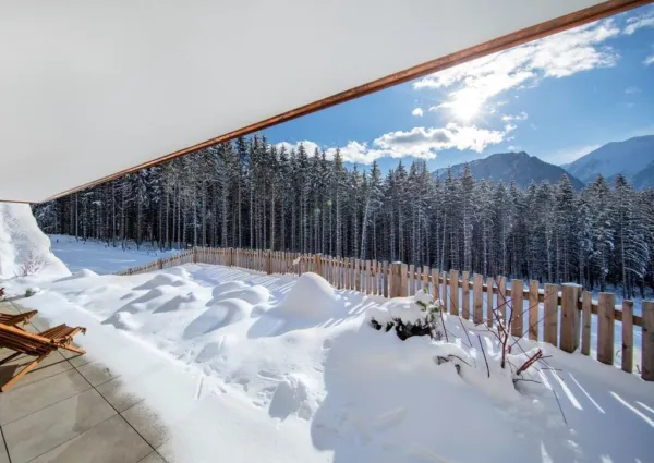 0036 NK Daberspitze winter nieuw 12