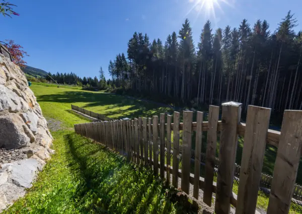 Nk Daberspitze toegang tot weide