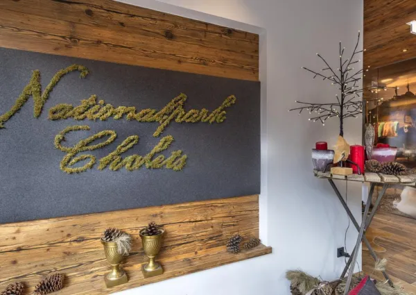 0049 NK NPC Alg Logo op muur