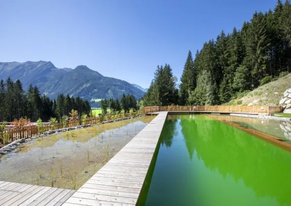 0045 NK NPC Schwimmteich 35