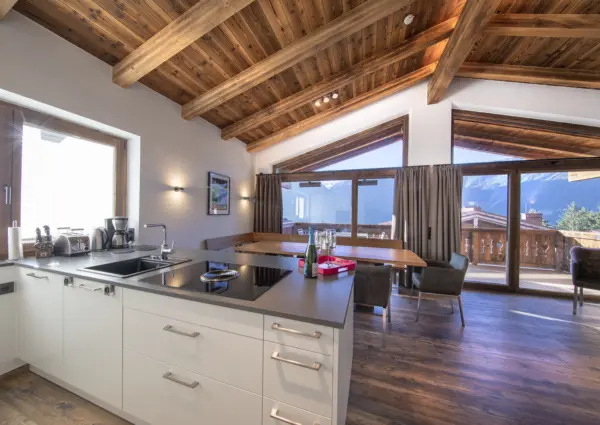 NPC Grosser Geiger 5