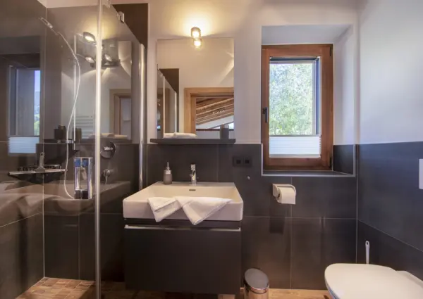 NPC Grosser Geiger 17