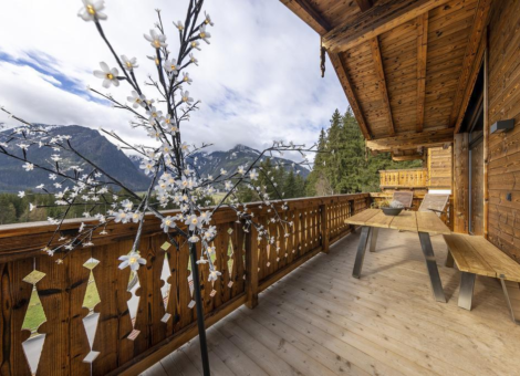 0002 NK Hoher Sonnblick zomer 1