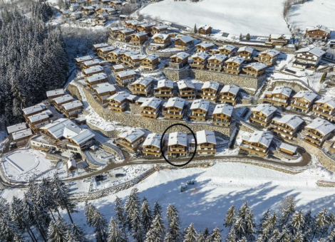 0028 NK Kratzenberg drone winter 2 met cirkel