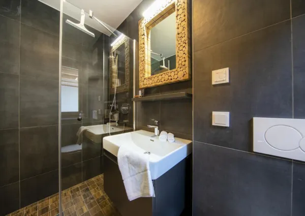 0018 NK Chalet 11 034 Badkamer met inloopdouche wastafel en toilet