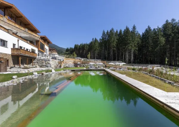 0041 NK NPC Schwimmteich 37