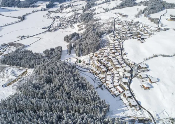 0037 NK Kuhhaut winter 10