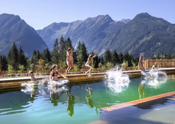 0040 NK NPC Schwimmteich 84