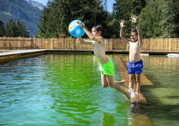 0026 NK NPC Schwimmteich 106