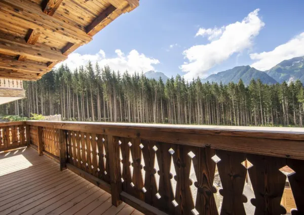 0025 NK Ochsenbug 20