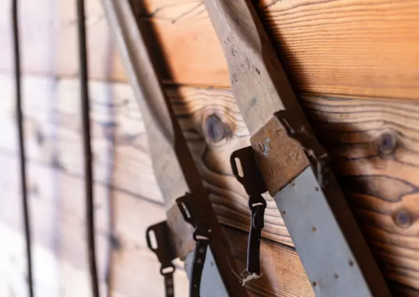 NK Rauhkopf skies detail