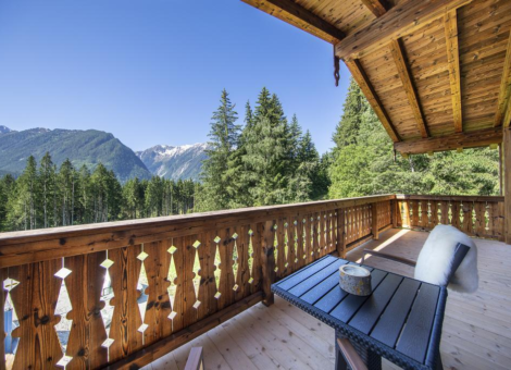 0027 NK Reichenbergerspitze zomer 2