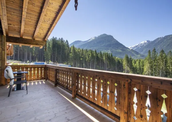 0028 NK Reichenbergerspitze zomer 3