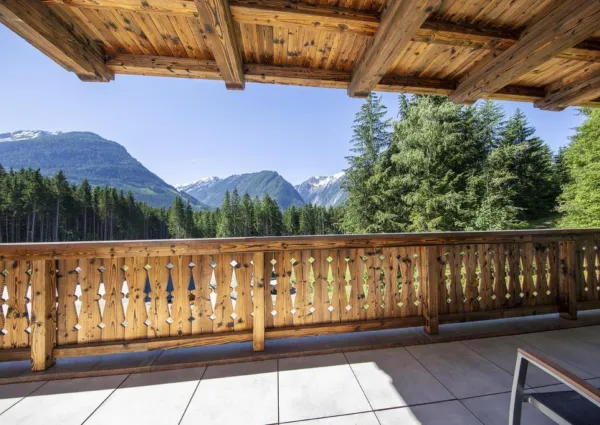 0029 NK Reichenbergerspitze zomer 4