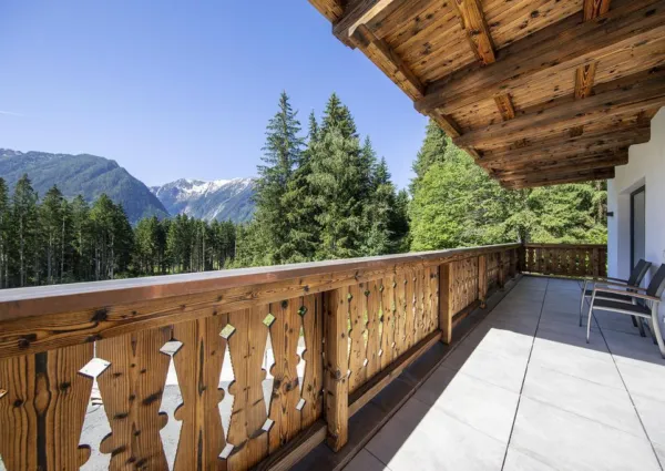 0031 NK Reichenbergerspitze zomer 6