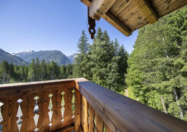 0032 NK Reichenbergerspitze zomer 7