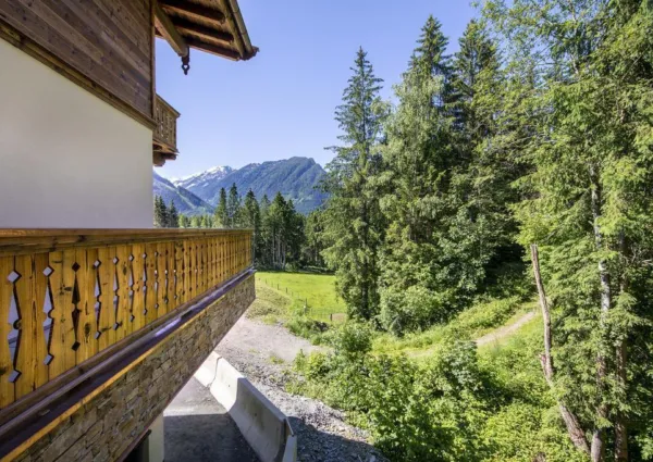 0033 NK Reichenbergerspitze zomer 10