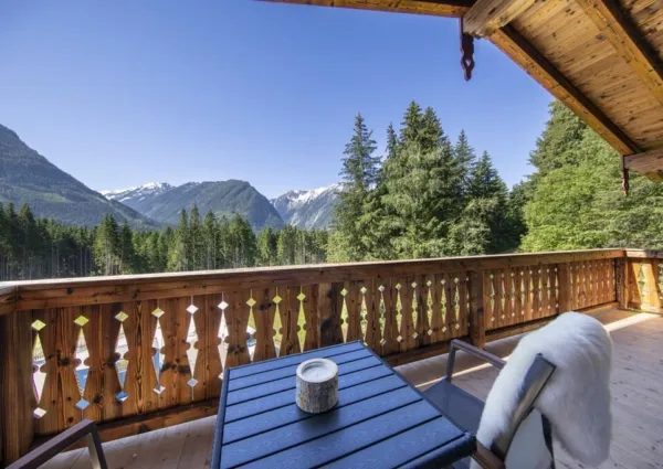 0002 NK Reichenbergerspitze zomer 1